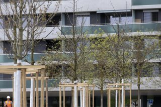 La ville de Genève a décidé de planter 600 arbres cet hiver (archives).